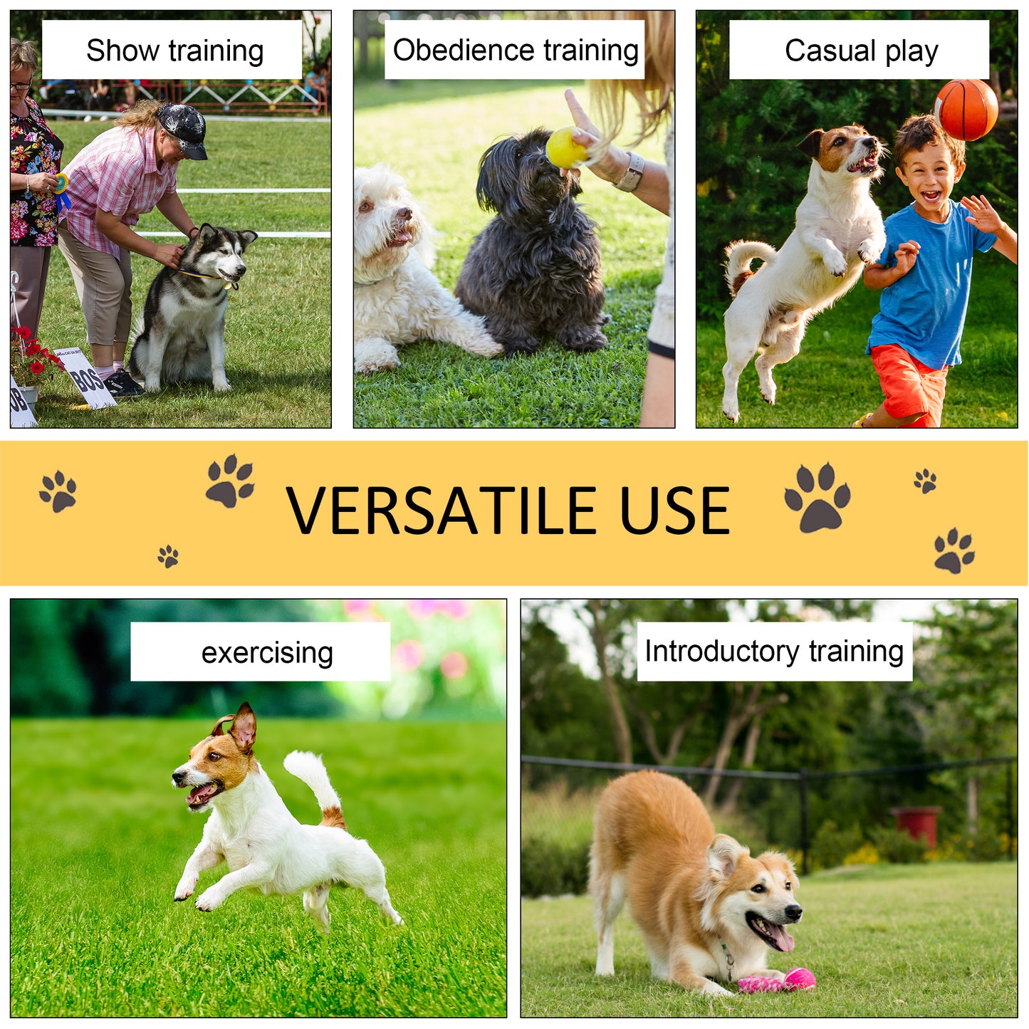 PawHut Dog Agility Training Equipment Dog Play Run Obedience Training Set Adjustable (Poles)
