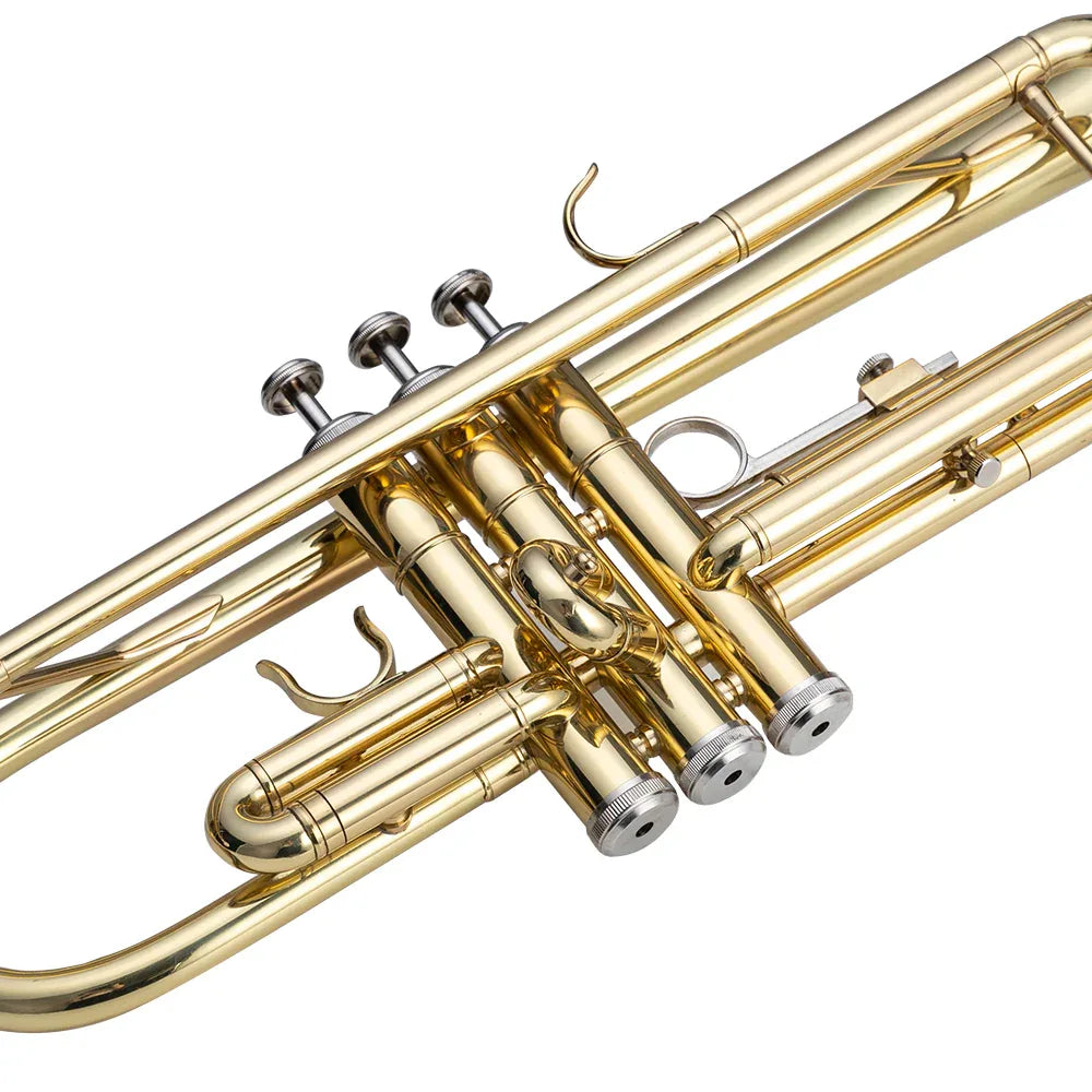 Trumpets - LiamsBargains.co.uk