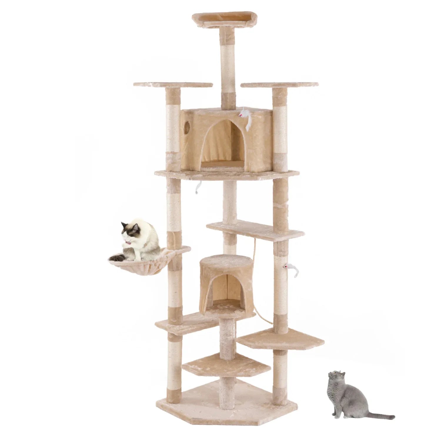 Pet Supplies - LiamsBargains.co.uk
