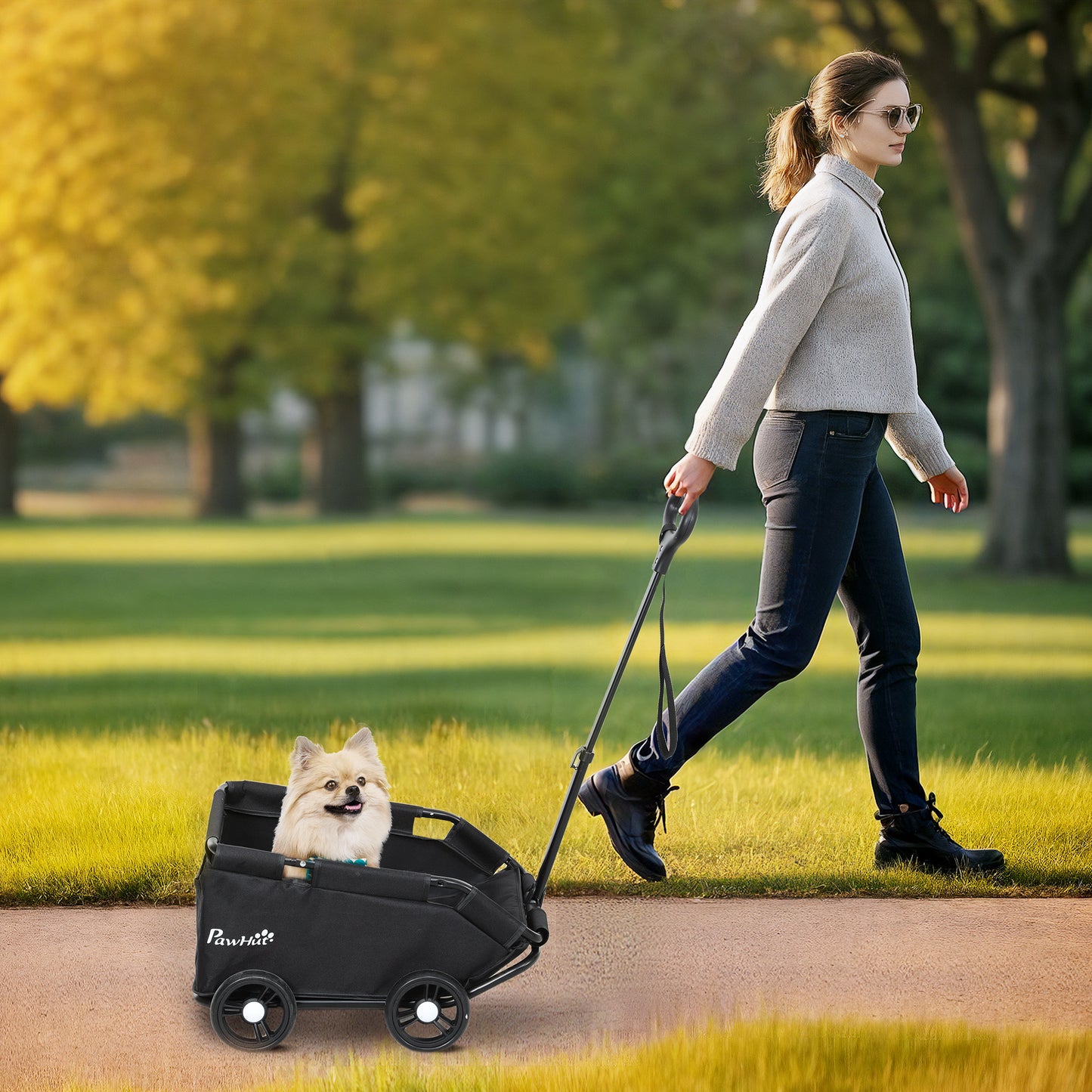PawHut Pet Wagon Cart, Dog Stroller for Small Dogs and Cats with 4 Wheels, Safety Straps, Storage Bag, Mat