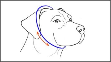 Slip collar