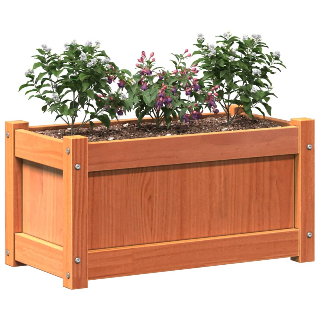vidaXL Garden Planter Wax Brown 60x31x31 cm Solid Wood Pine