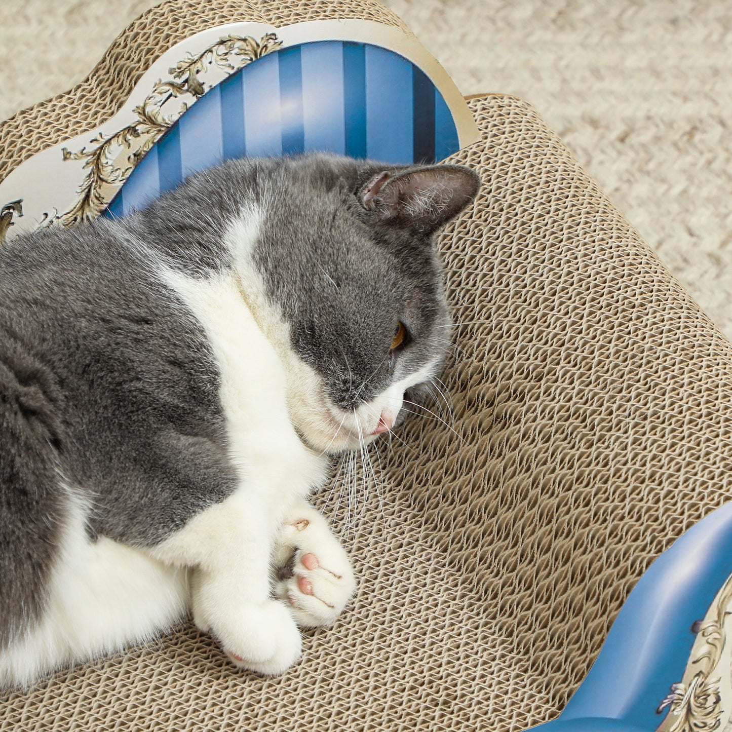 PawHut 2-in-1 Cat Scratching Board with Catnip for Indoor Cats, 26.5 x 57 x 26.5cm, Blue