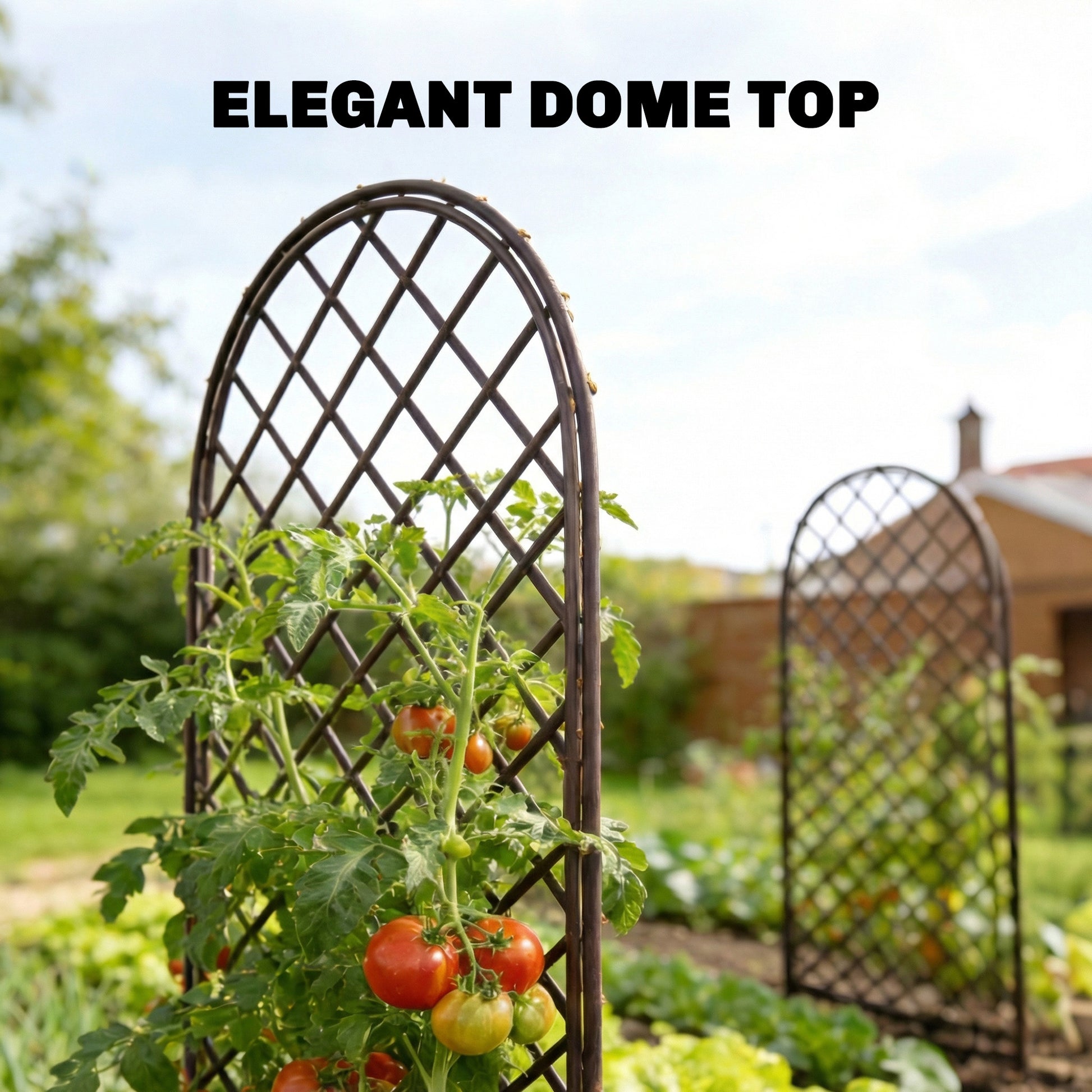 Outsunny Garden Trellis, Decorative Trellis Panels for Climbing Outdoor Plants, Vegetables, Vines, Flowers, Natural Wood Finish
