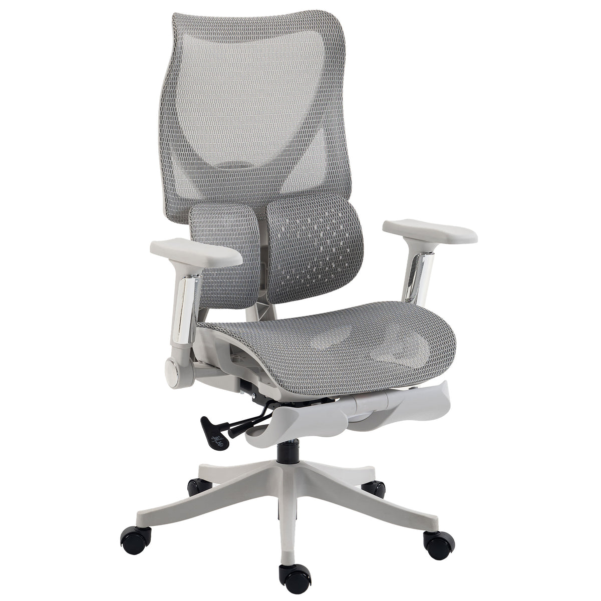 HOMCOM Ergonomic Office Chair with Lumbar Support, Mesh Reclining Desk Chair with Footrest, Adjustable High Back, Grey Default Title