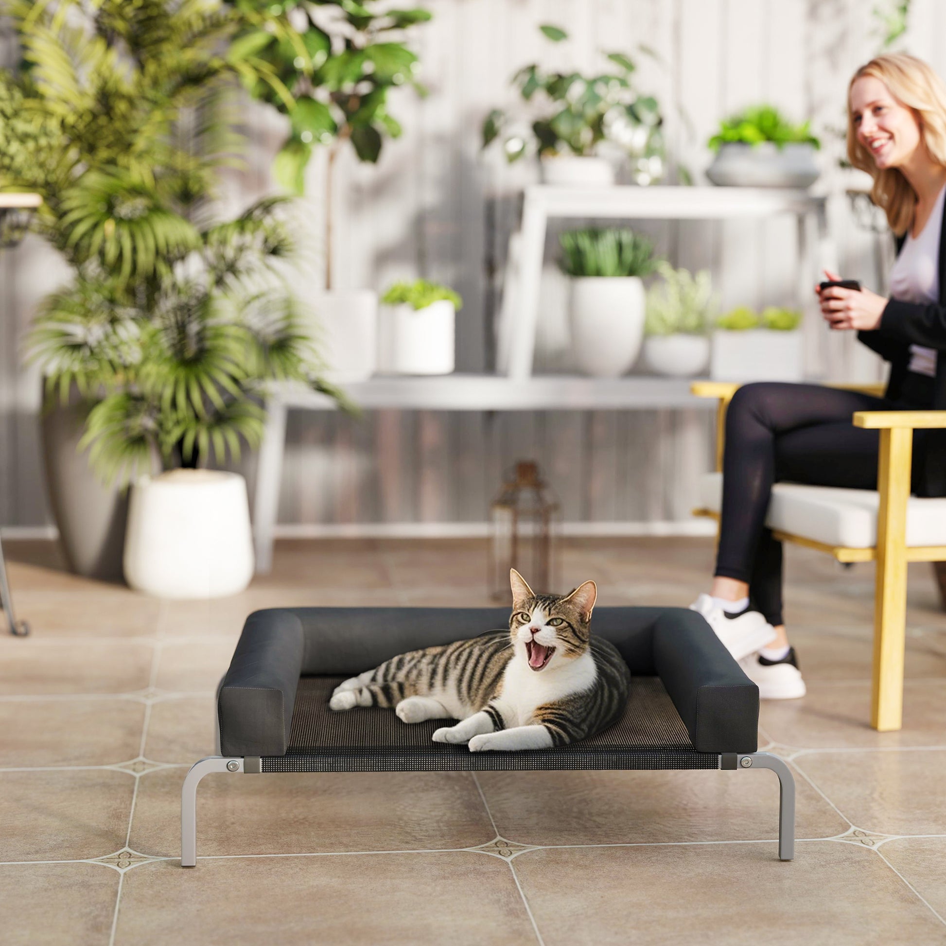 making it suitable for small dogs and cats.</li><li>Elevated cat bed info: Overall Dimensions: 90L x 65W x 30H cm. Assembly required.</li></ul>