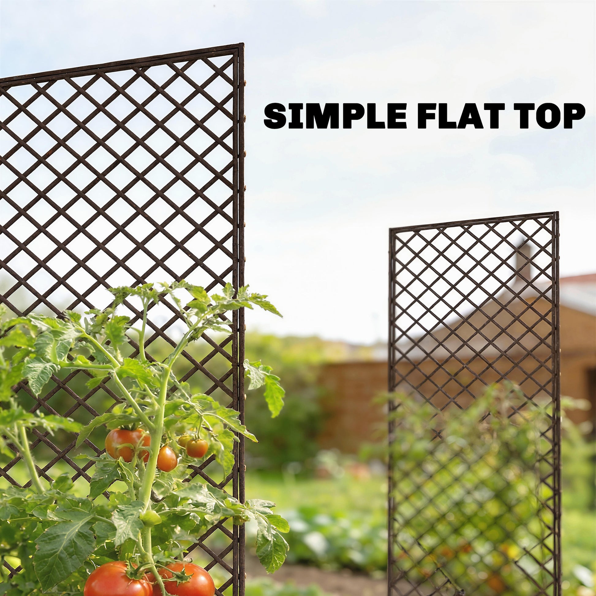 Outsunny Garden Trellis, Decorative Trellis Panels for Climbing Outdoor Plants, Natural Wood Finish