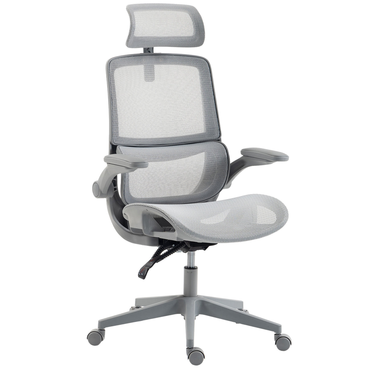 HOMCOM Ergonomic Office Chair with Adaptive Lumbar Support, Reclining Mesh Desk Chair with 2D Headrest, Flip-Up Arms, Grey Default Title