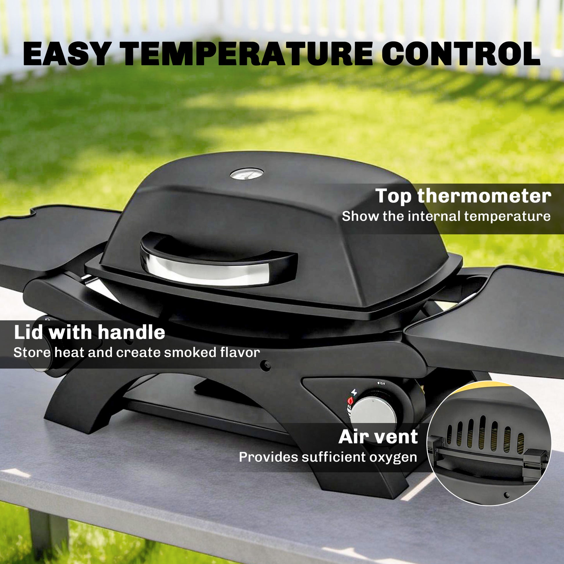 Outsunny 2 Burner Gas Grill with 2 Detachable Side Tables, 3.8 KW Steel Barbecue Grill with Cast Iron Grates, Lid, Thermometer