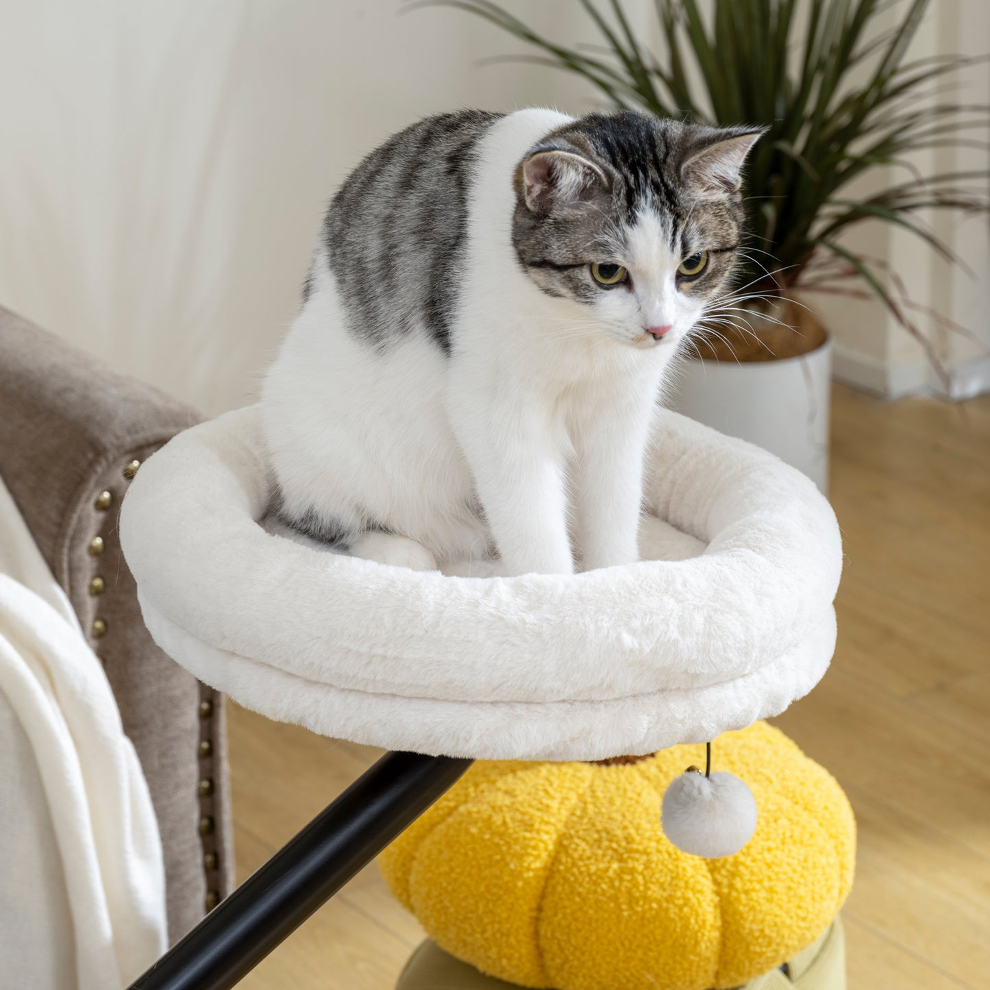 PawHut Cat Desk Bed, Cat Hammock 360Â° Rotatable Adjustable for Window, Table, Work, Cream White