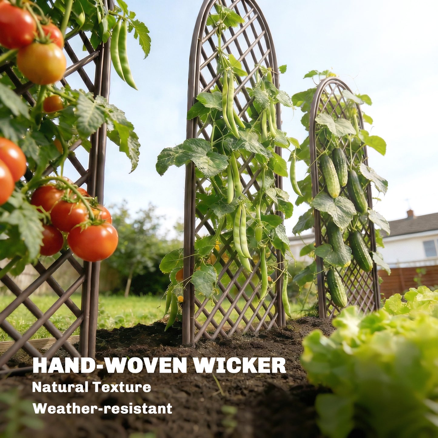 Outsunny Garden Trellis, Decorative Trellis Panels for Climbing Outdoor Plants, Vegetables, Vines, Flowers, Natural Wood Finish