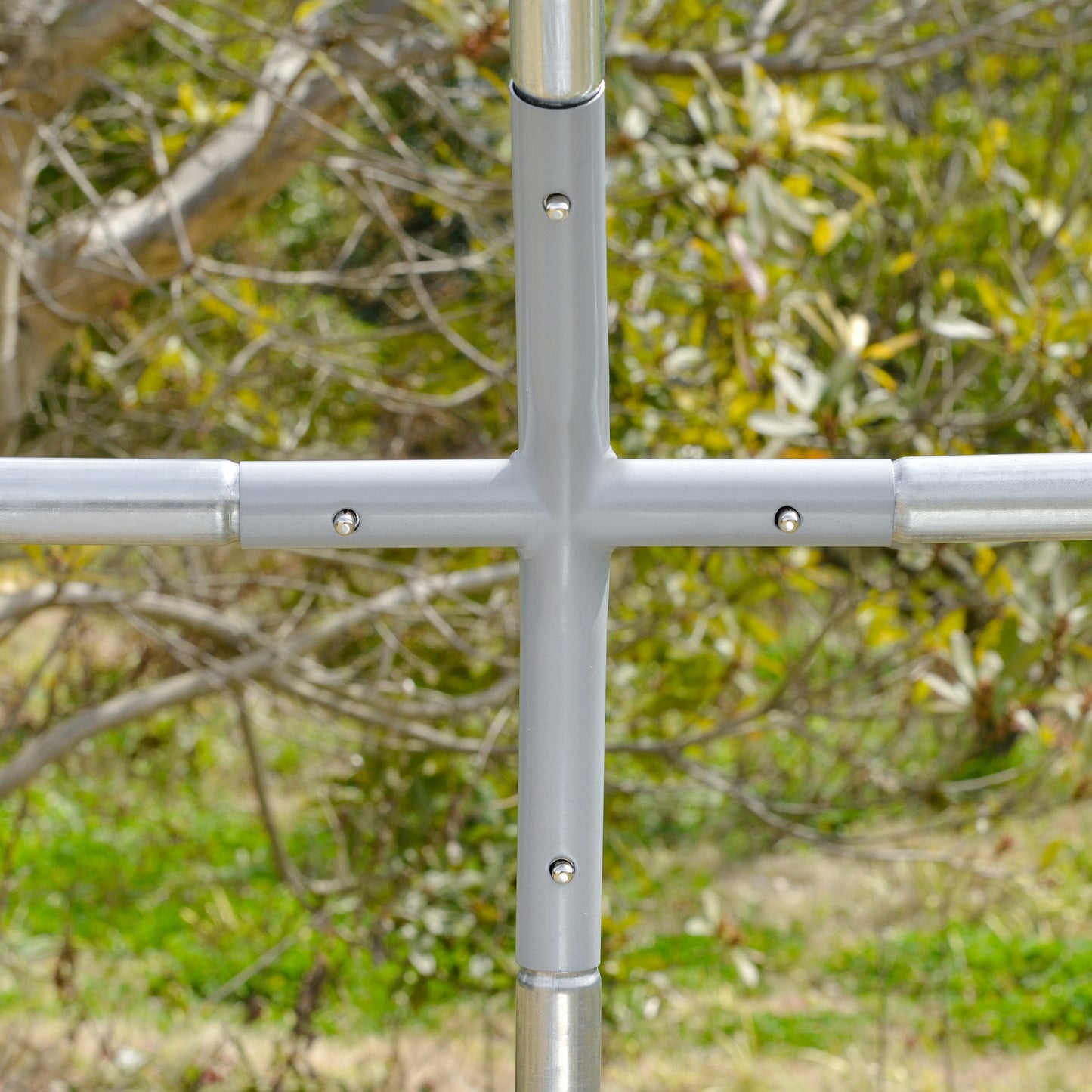  ignore the bad weather