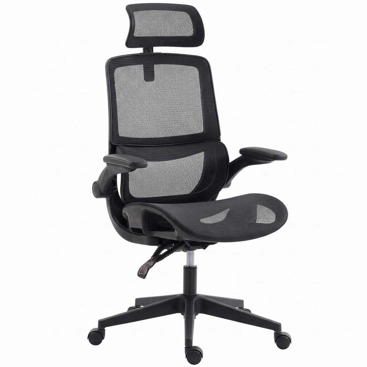HOMCOM Ergonomic Office Chair with Adaptive Lumbar Support, Reclining Mesh Desk Chair with 2D Headrest, Flip-Up Arms, Black Default Title