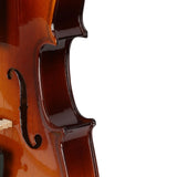 1/2 Acoustic Violin Case Bow Rosin Natural