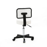 Round Shape Plastic Adjustable Salon Stool with Back White