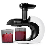 Masticating Juicer Extractor Slow Juicer Cold Press - White