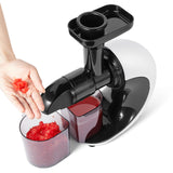 Masticating Juicer Extractor Slow Juicer Cold Press - White