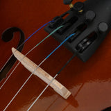 1/2 Acoustic Violin Case Bow Rosin Natural