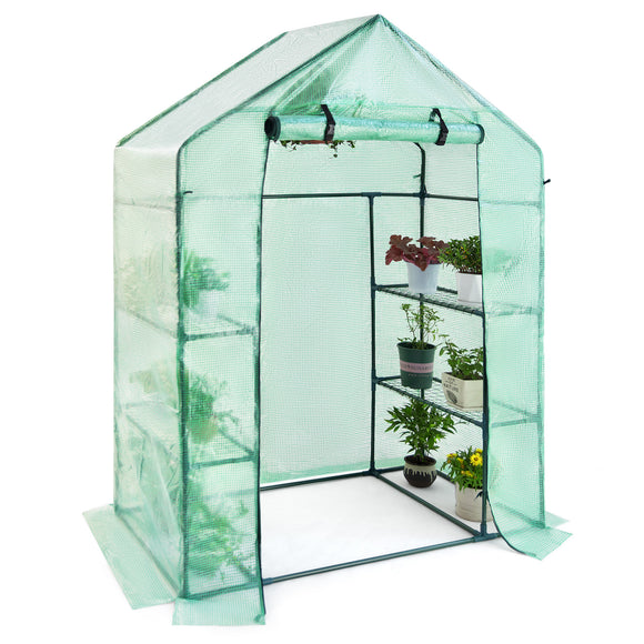 Walk in Greenhouse Low Cost Perfect for Small Gardens