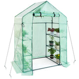 Walk in Greenhouse Low Cost Perfect for Small Gardens